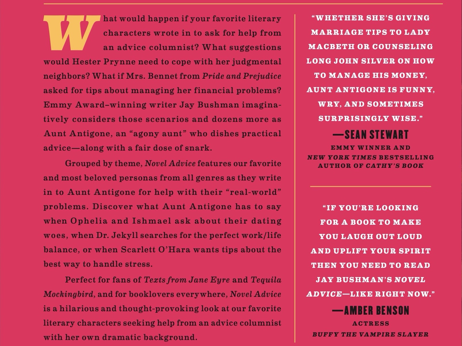 Back cover of Novel Advice by Jay Bushman, with a description of the book and blurbs from Sean Stewart and Amber Benson.